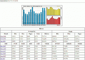 Website Statistics